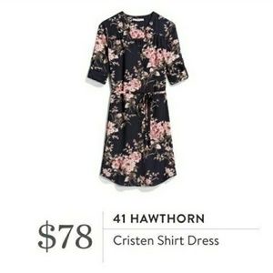 Stitch Fix Brixon Ivy/41 Hawthorn Shirtdress